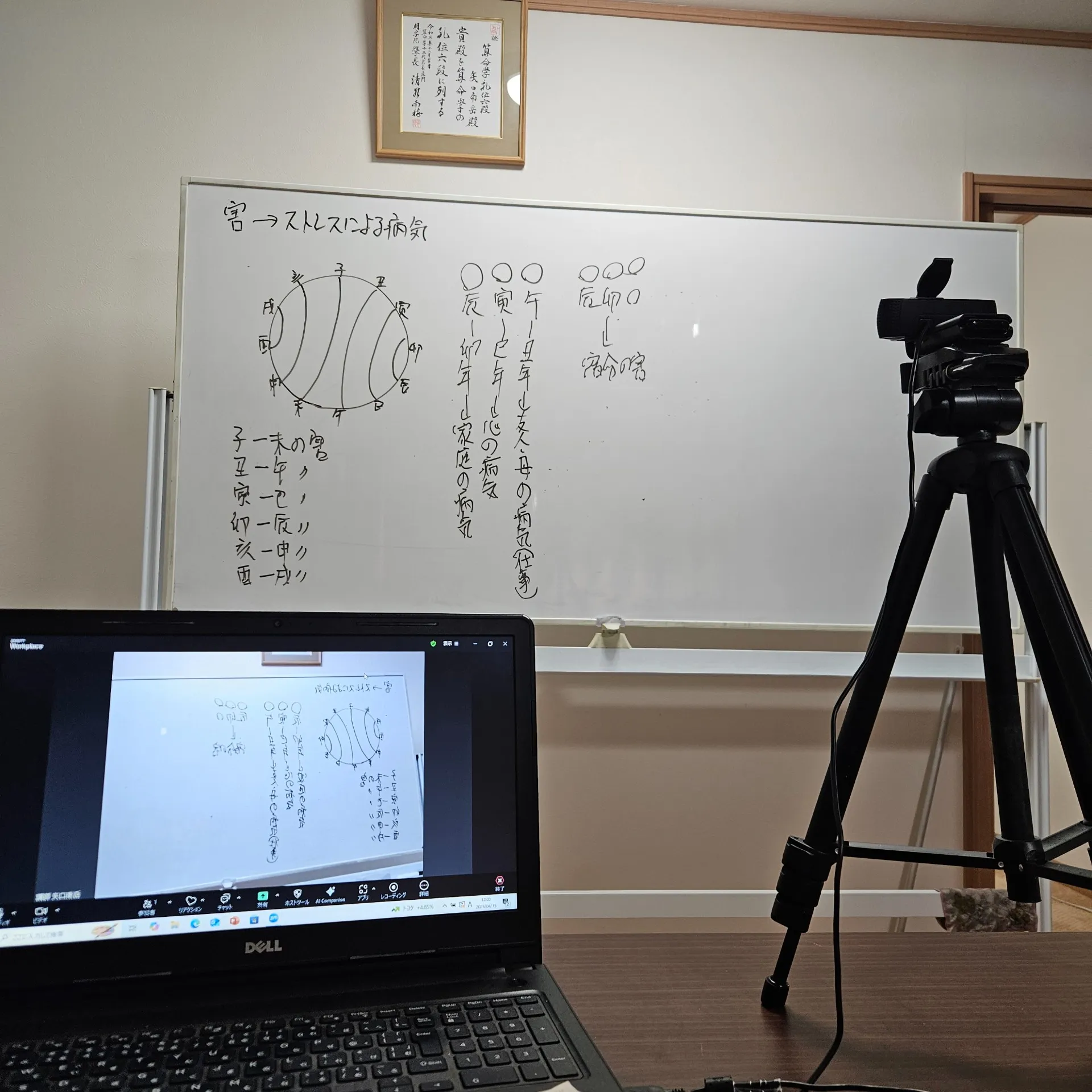 南学院宇都宮校オンラインZOOM占い教室