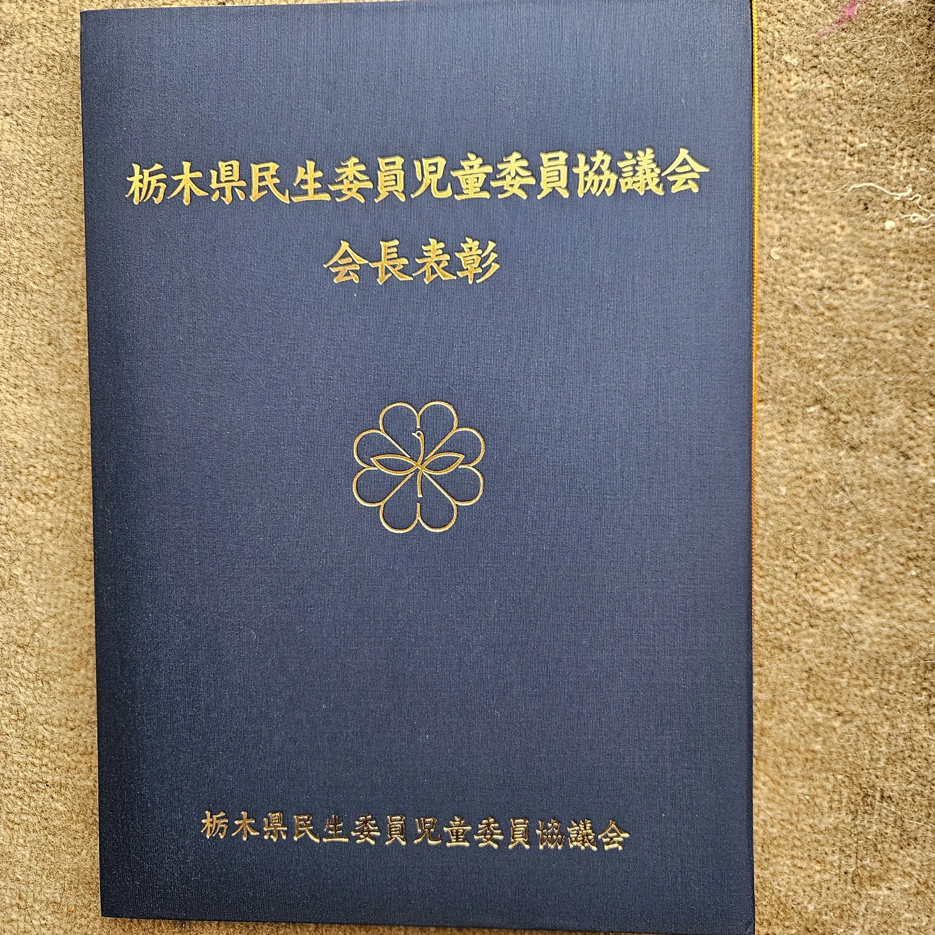 雀宮民生委員児童委員協議会表彰