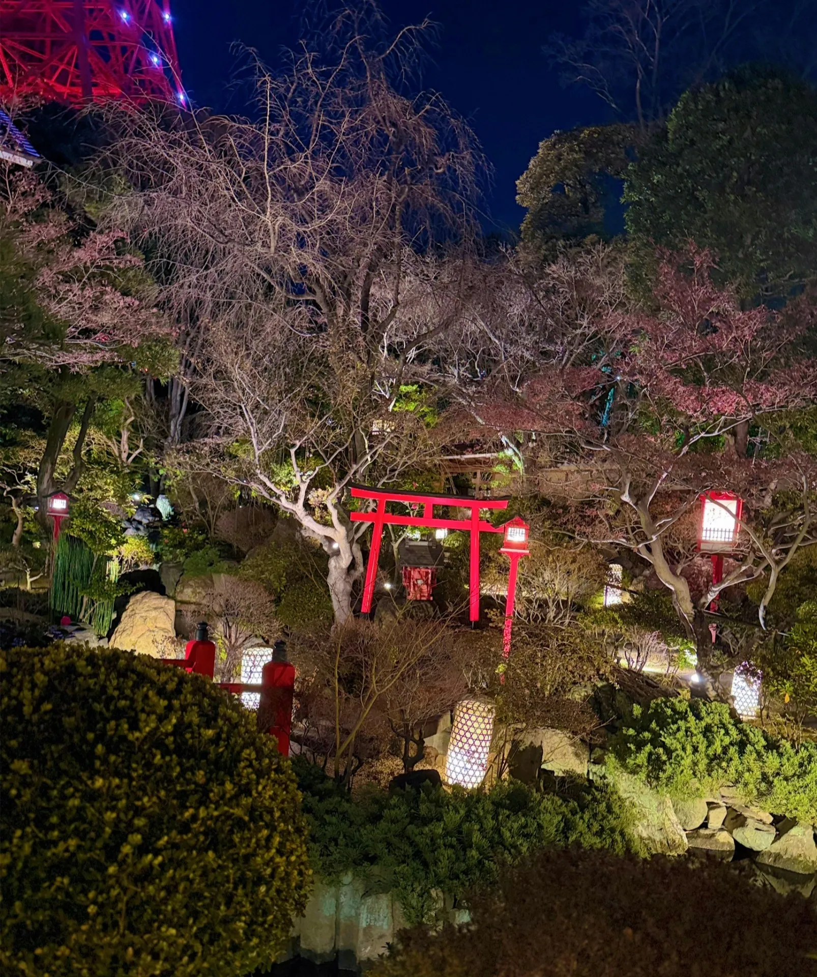 南学院宇都宮校対面教室開講